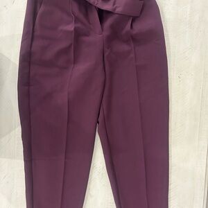 Ann Taylor Rich Purple Women's Trousers
